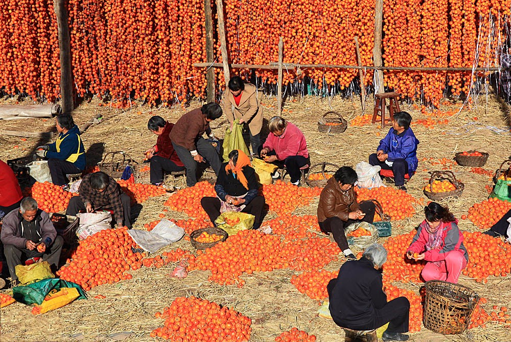 太行曬秋圖