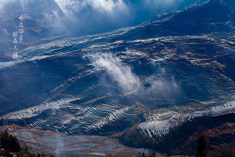 黃草嶺梯田