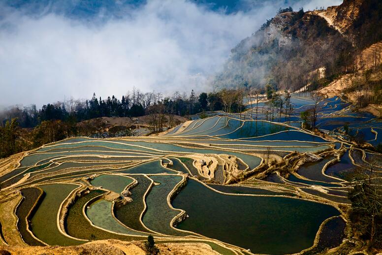 倮馬點梯田