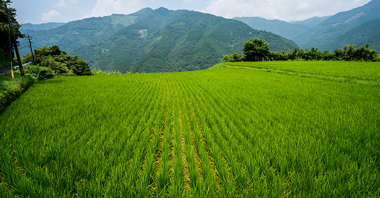 東川紅土地一日攝影游