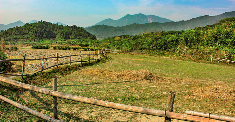 云南旅游元陽梯田-建...