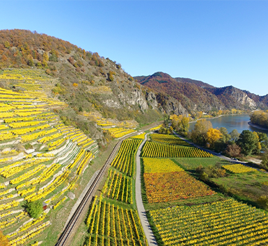 云南旅游元陽梯田-建...