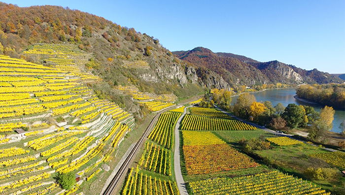 云南旅游元陽梯田-建...