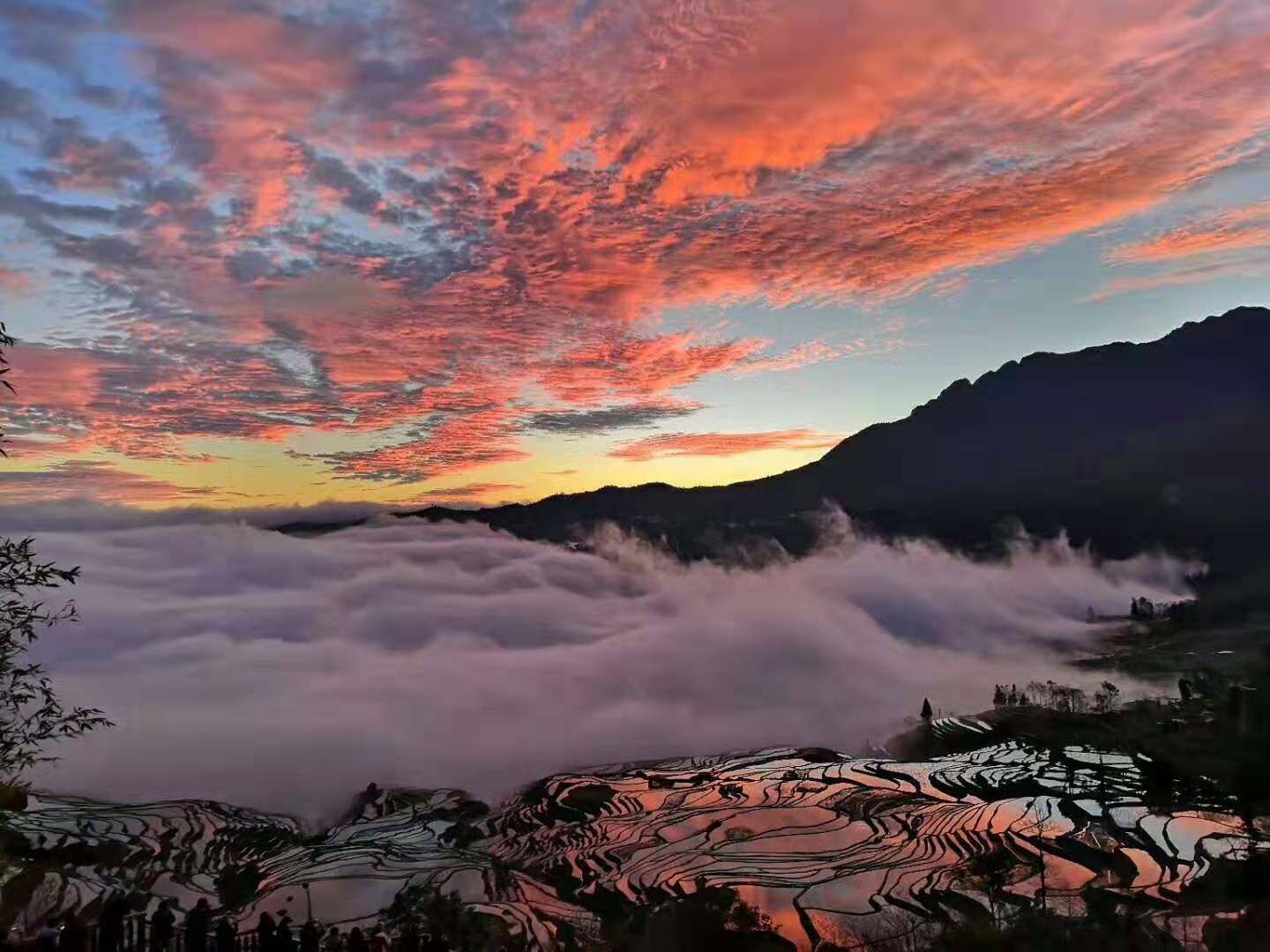 云南東川紅土地-元謀...