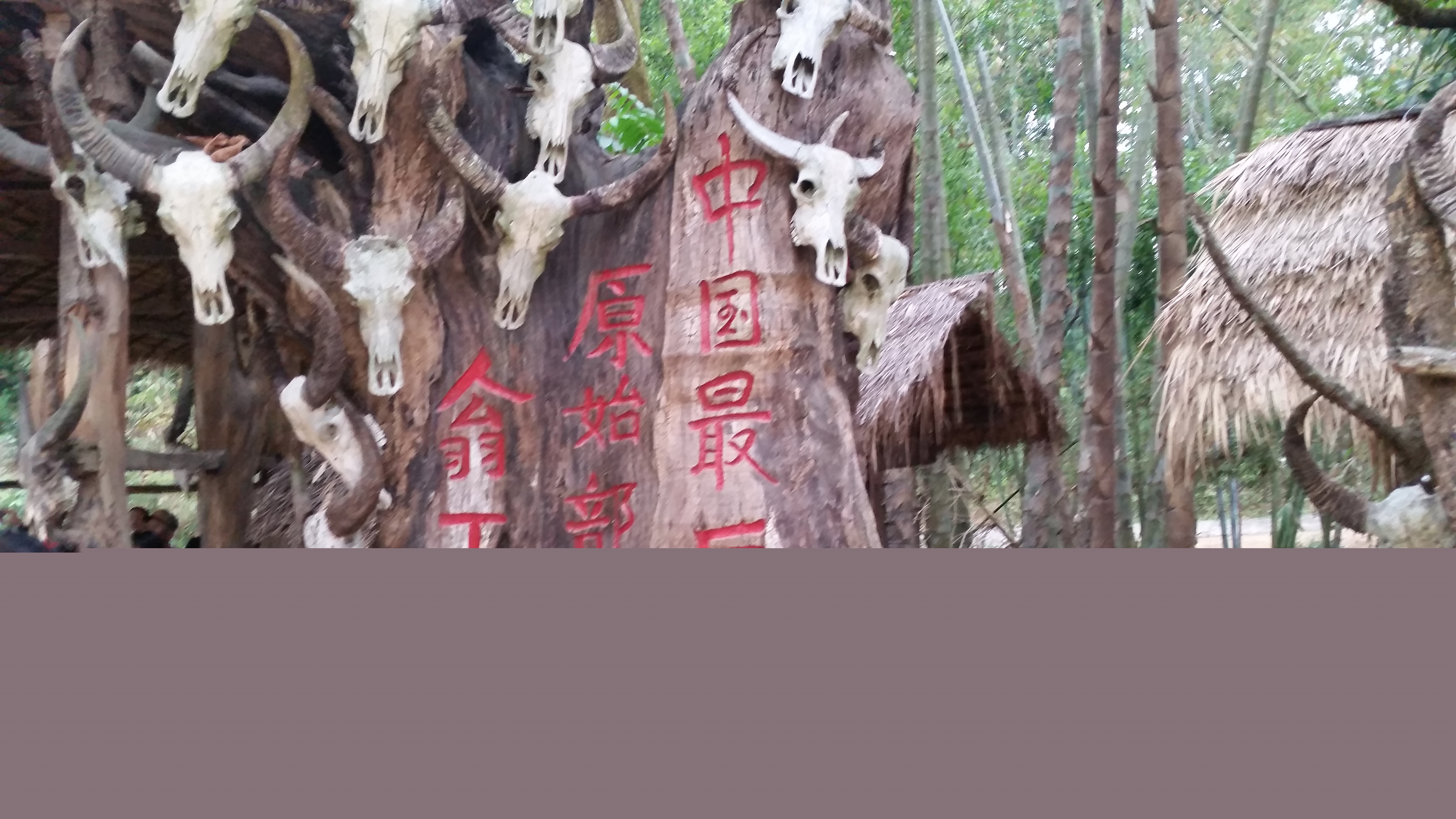 滄源 瀾滄 翁丁村5...